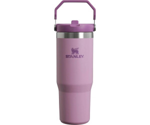 Stanley The IceFlow Flip Straw Tumbler from Best