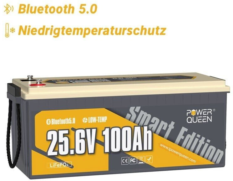 Power Queen P24V100-100-BASIC-BT