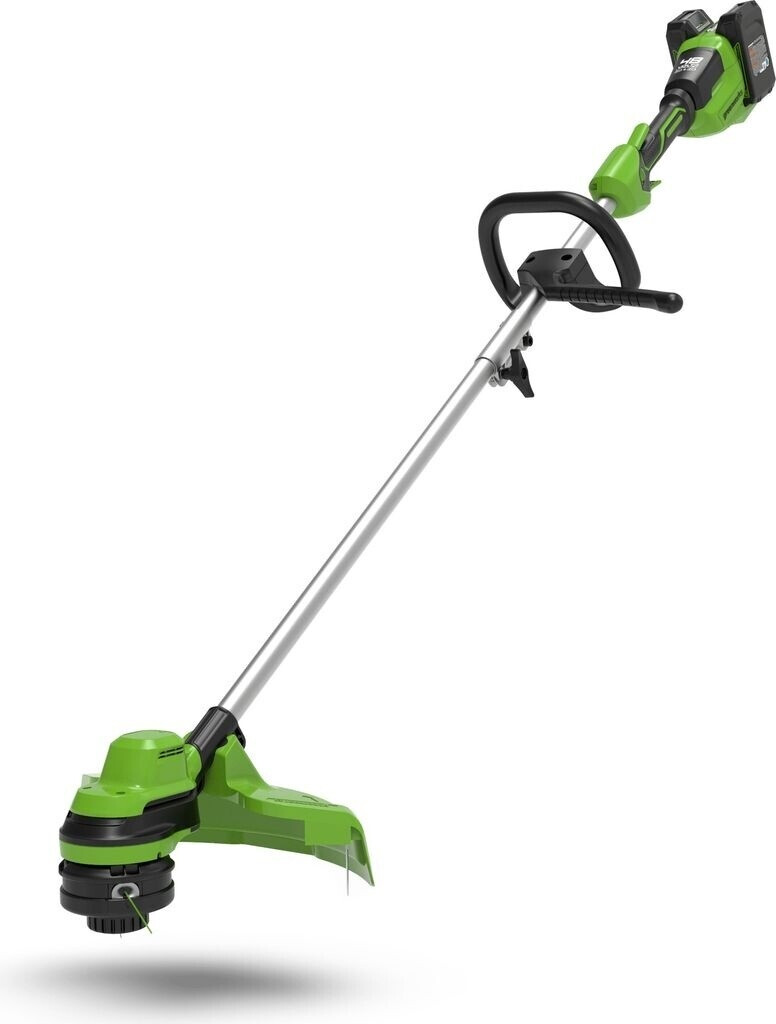 Greenworks GD24X2LT