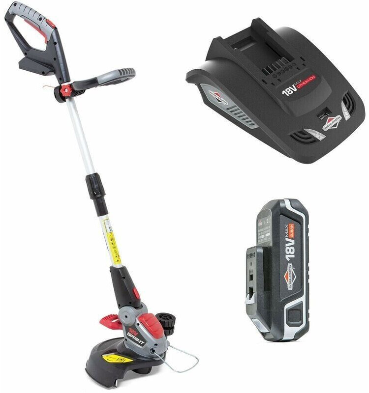 Briggs & Stratton 1697220