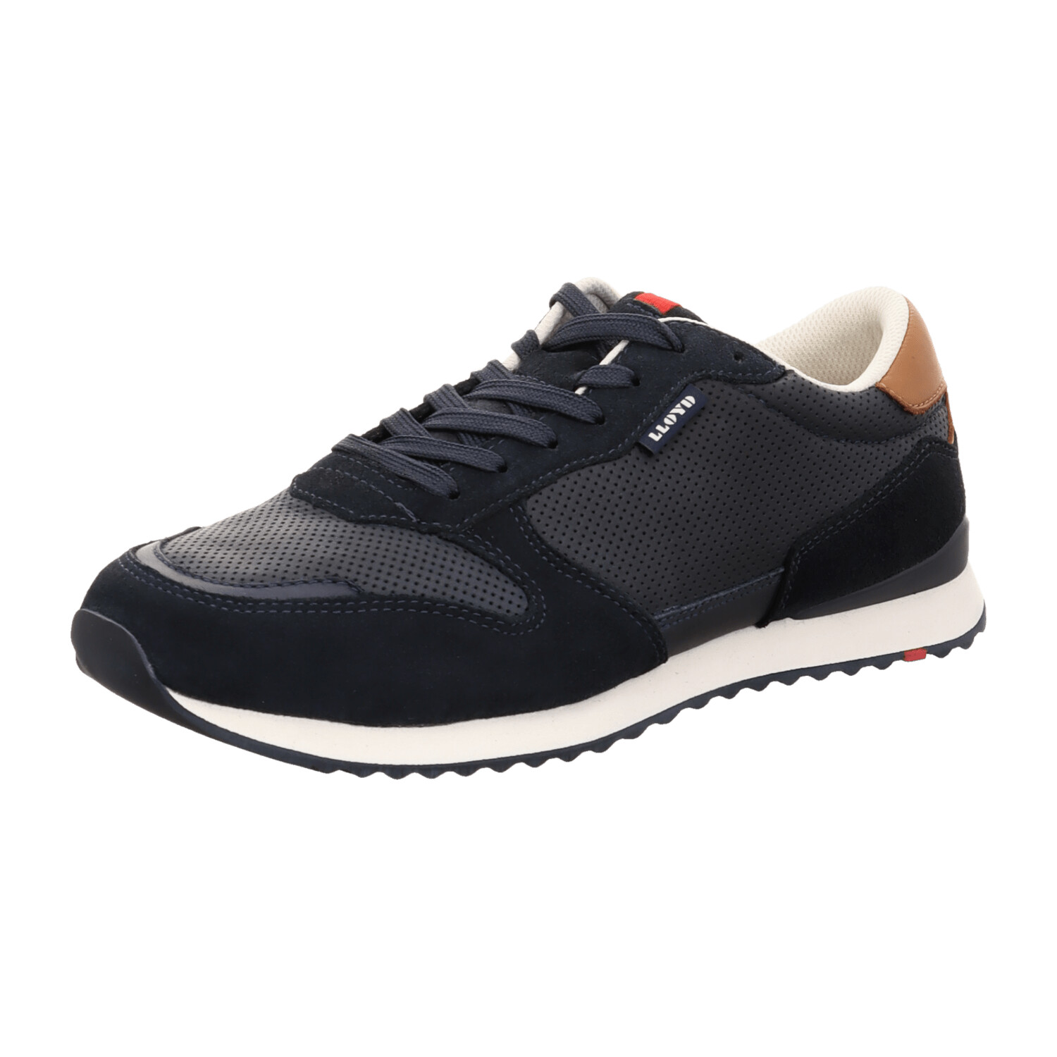 LLOYD Edmond blue2