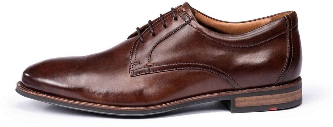 LLOYD Mare brown
