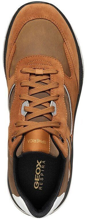Geox U Spherica Actif X1 Trainers brown