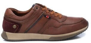 XTI 143214 Trainers brown