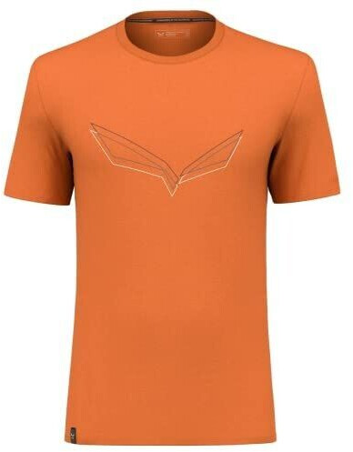 Salewa Pure Eagle Frame Dry'ton M T-Shirt (00-0000028448) autumnal melange