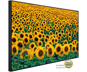 papermoon Feld der Sonnenblumen 80x60x3cm 450 W bunt (21251020-0)