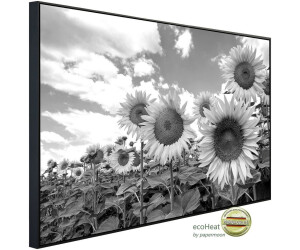 papermoon Sonnenblumen Schwarz & Weiß 120x90x3cm 1200 W bunt (12672407-0)