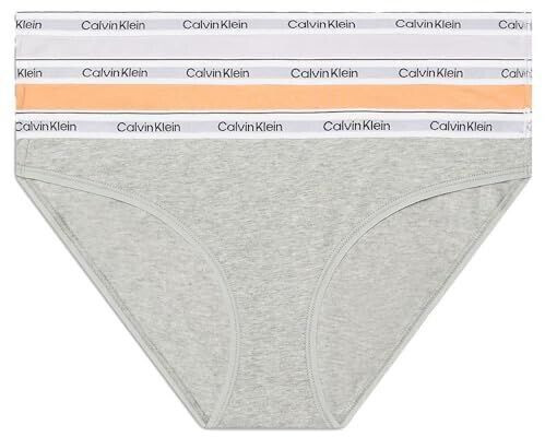Calvin Klein 3-Pack Slip (000QD5207E) cadmium orng/gry htr/lavender blue