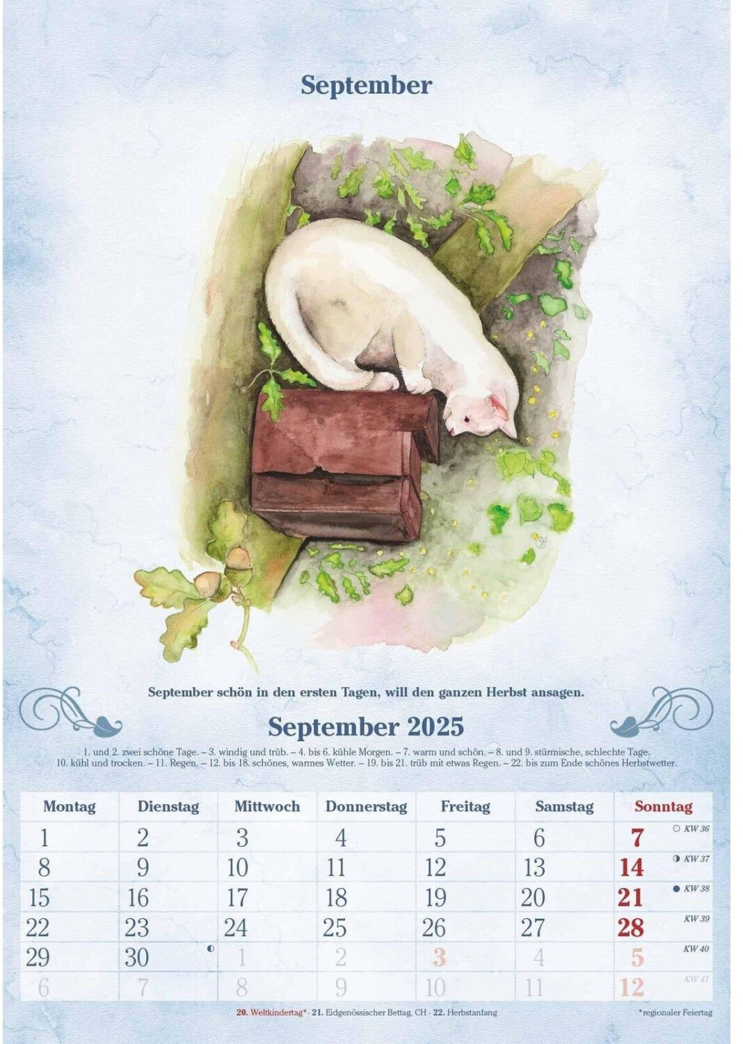 Neumann Verlage 100jähriger Kalender 2025 Bildkalender 23,7x34cm ab 8,70 € Preisvergleich bei