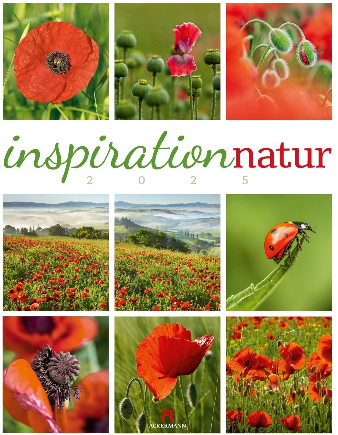 Ackermann Inspiration Natur Kalender 2025 (German)