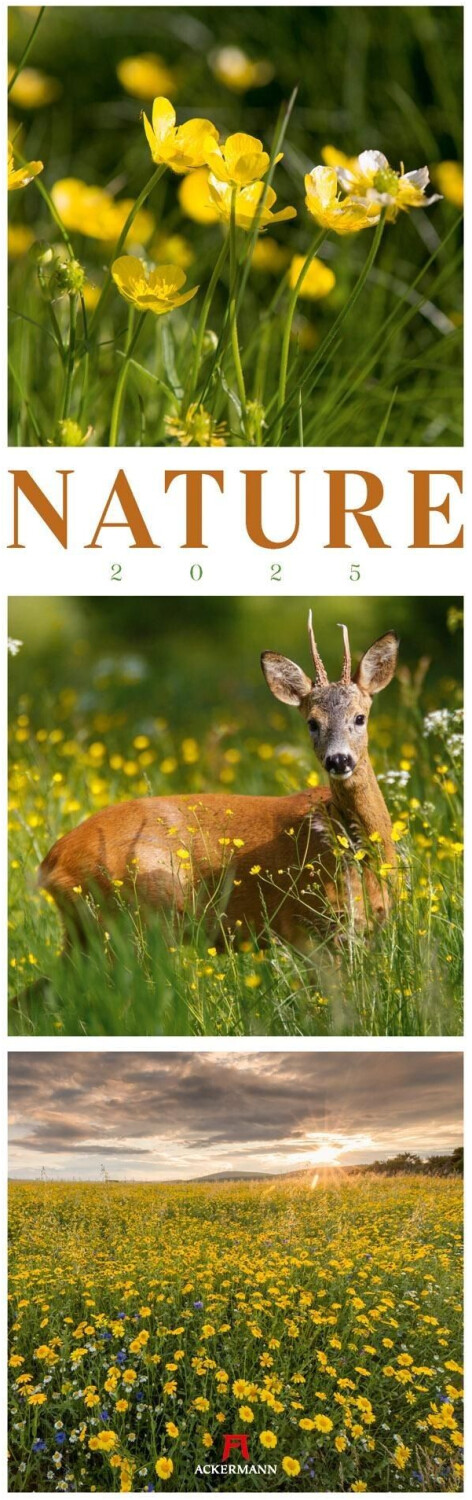 Ackermann Nature Triplet-Kalender 2025 33x100cm ab 36,93