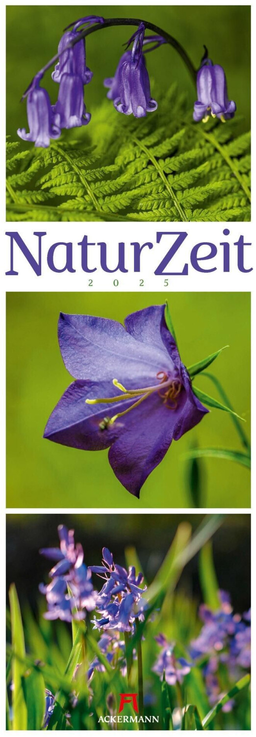 Ackermann NaturZeit Triplet-Kalender 2025 (German)