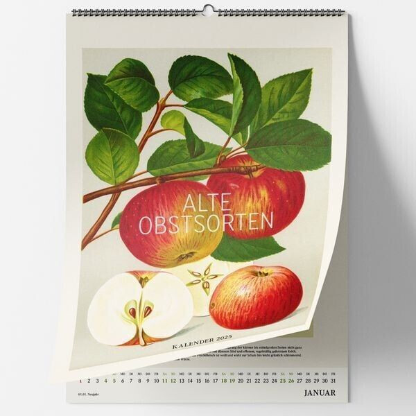 Favoritenpresse Alte Obstsorten. Wandkalender 2025 (German)