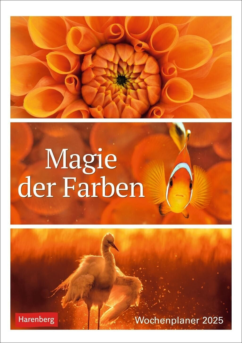 Harenberg Magie der Farben Wochenplaner 2025 (German)