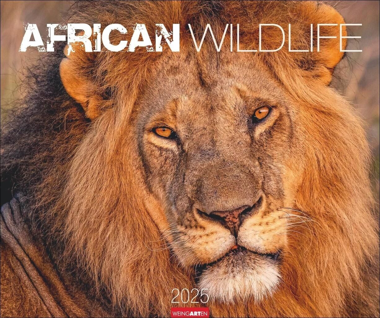 Weingarten Verlag African Wildlife Kalender 2025 55x46cm (German)