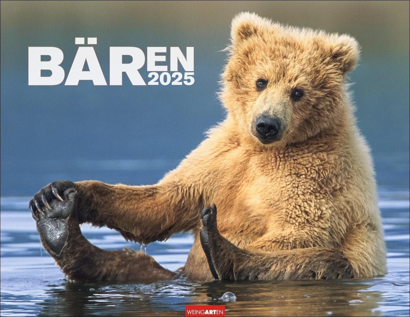 Weingarten Verlag Bären Kalender 2025 44x34cm (German)