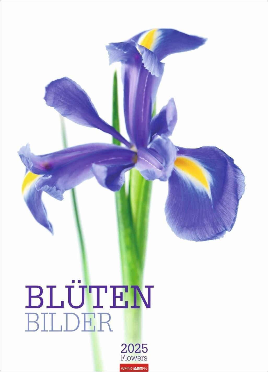 Weingarten Verlag Blütenbilder Kalender 2025 49x68cm (German)