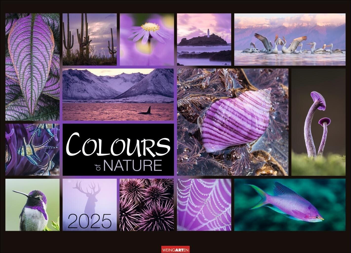 Weingarten Verlag Colours of Nature Kalender 2025 68x49cm (German)