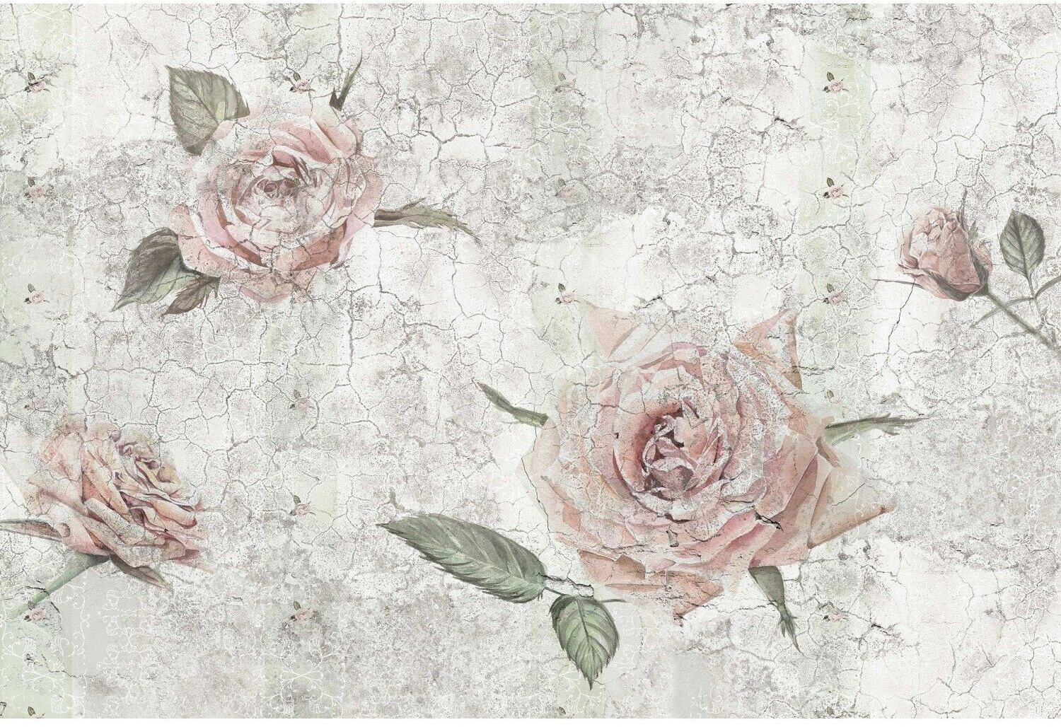 Komar Tantinet 400 x 260 cm