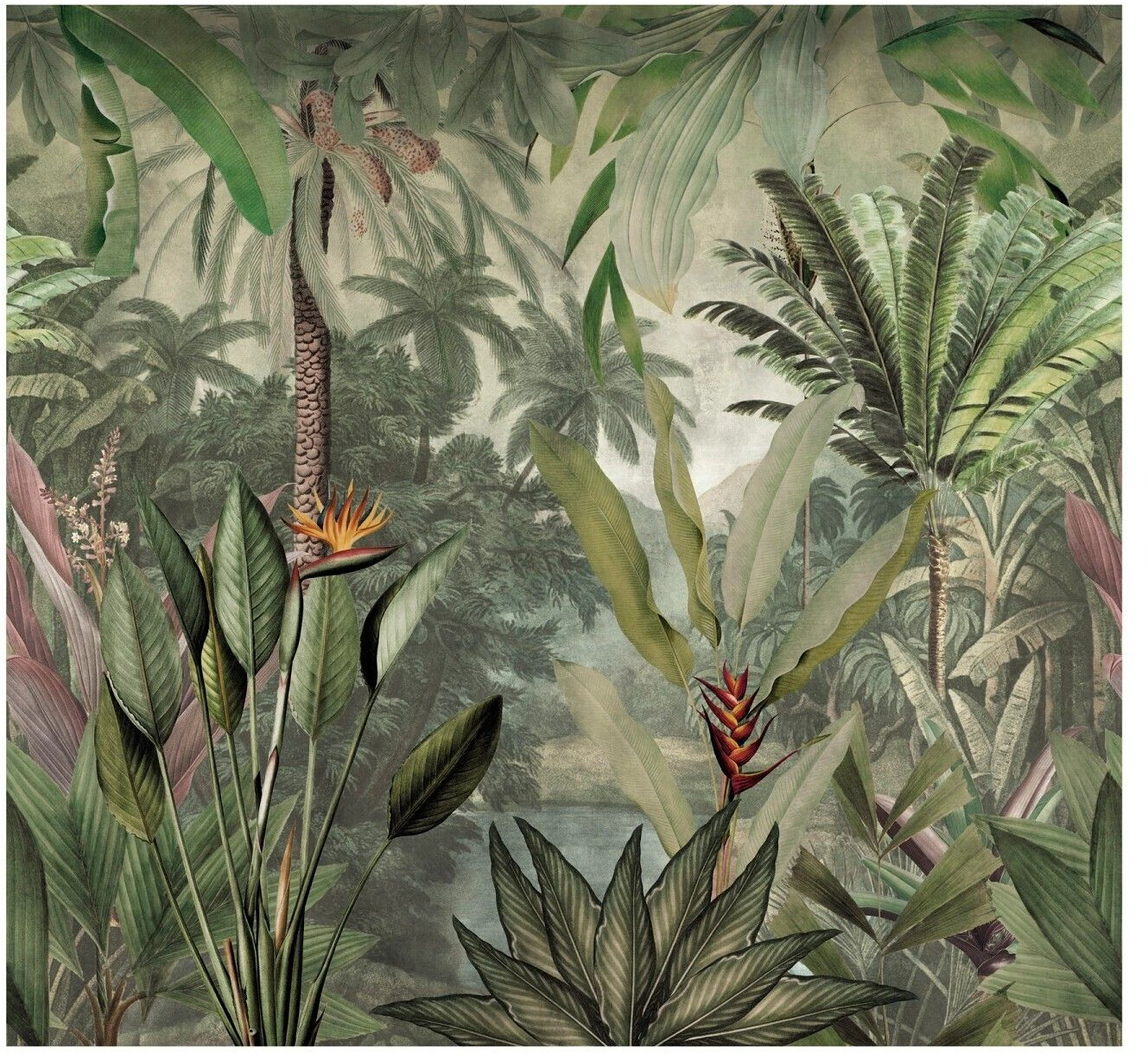 Art for the home Medan 280 cm x 300 cm Grün