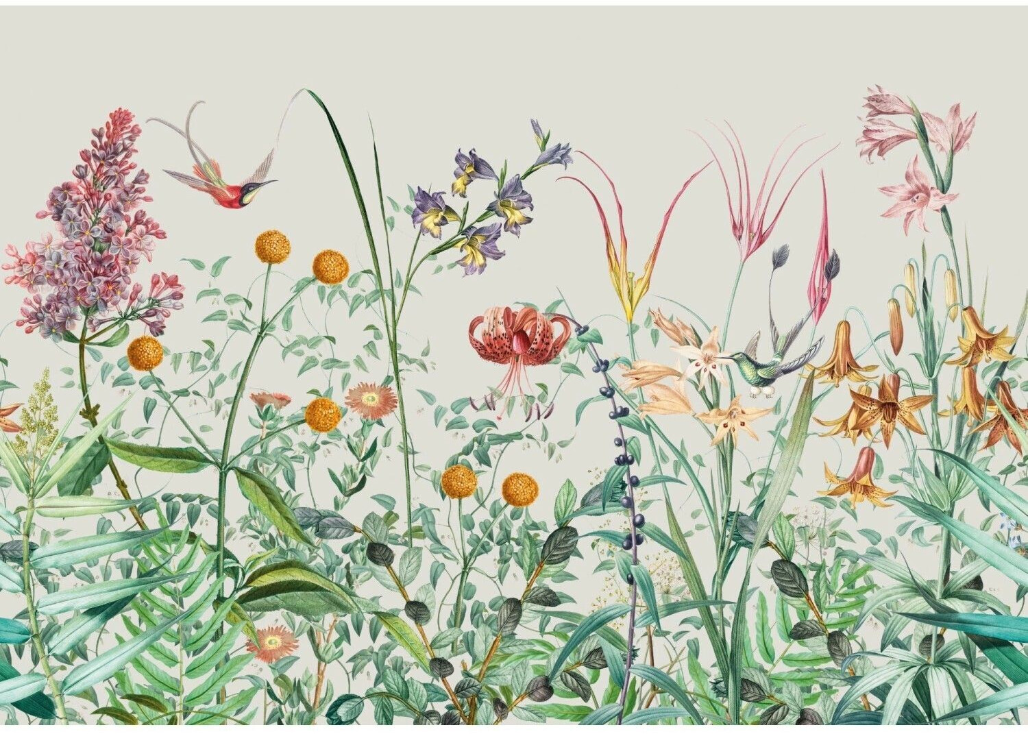 Art for the home Botanical garden 280x400cm