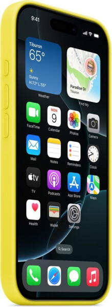 Apple Silikon Case mit MagSafe (iPhone 16 Pro Max) Sternfrucht, Bild 2