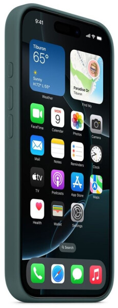 Apple Silikon Case mit MagSafe (iPhone 16 Pro Max) Seegrün, Bild 2