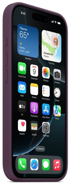 Apple Silikon Case mit MagSafe (iPhone 16 Pro Max) Pflaume, Bild 2