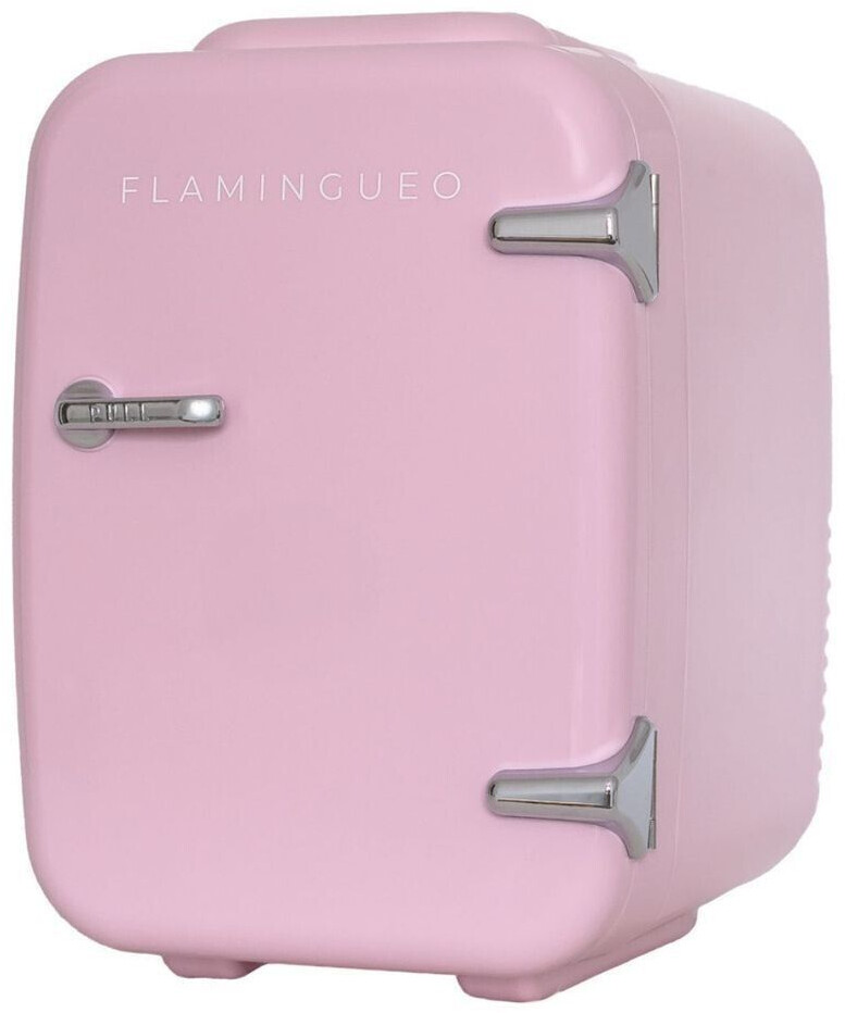 Flamingueo Mini fridge 4L small 12V 220V