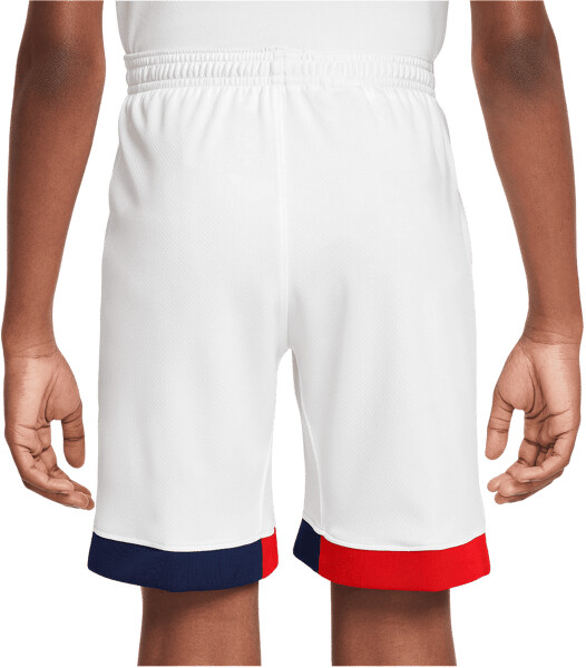 Nike Short PSG 2024/2025 Junior extérieur Black Friday 2024 Comparez les prix sur idealo.fr