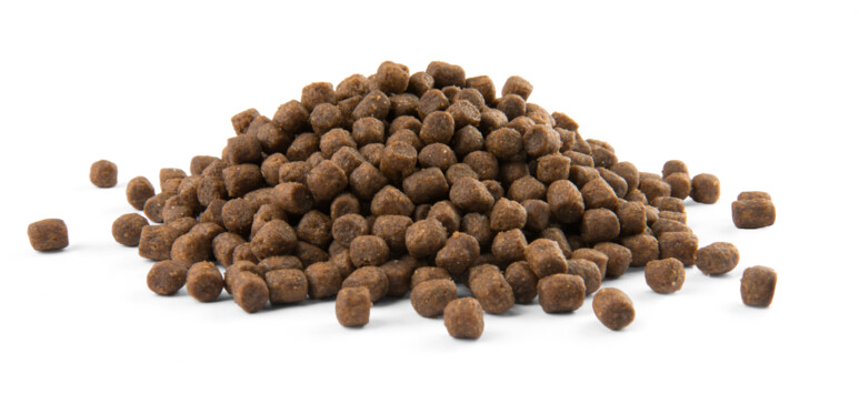 Versele-Laga Croquettes pour chien 2.5 kg
