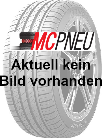 Sunny NC513 225/75 R16 121/120R RFT 10PR