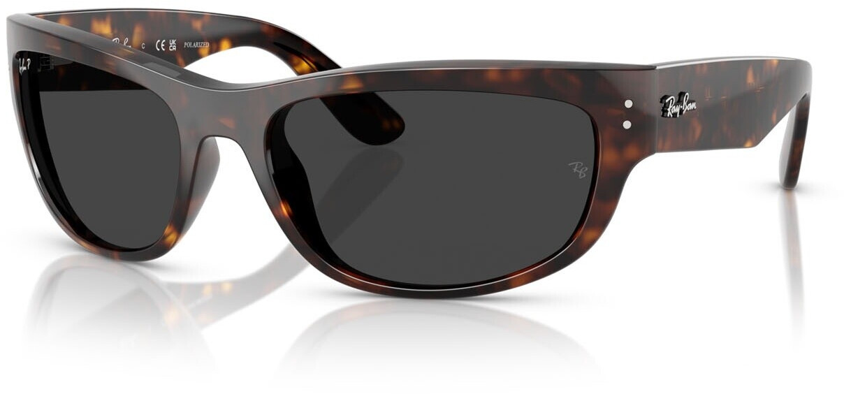 Ray-Ban Mega Balorama RB2289 902/48
