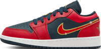 Jordan Air Jordan 1 Low SE Shoe blue