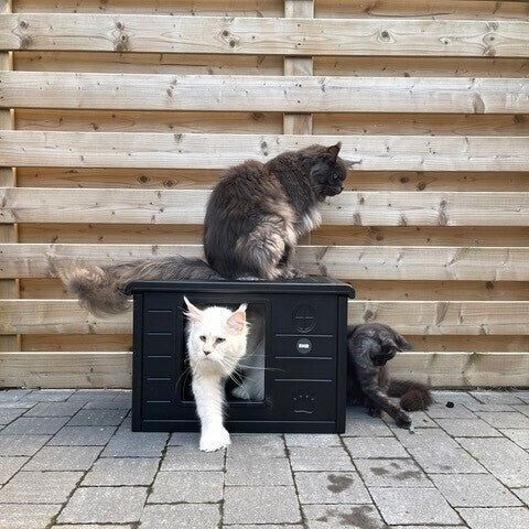 RHR Quality Maison pour chat black RHR Quality Maison pour chat black
