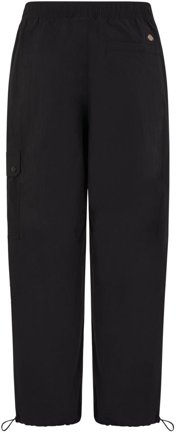 Dickies Jackson Cargo Pants (0A4YLX)