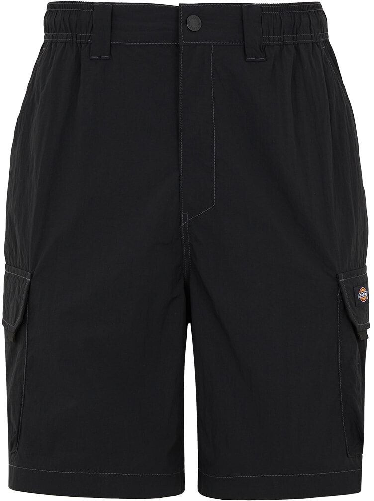 Dickies Jackson Cargo Shorts (0A4YAC) black