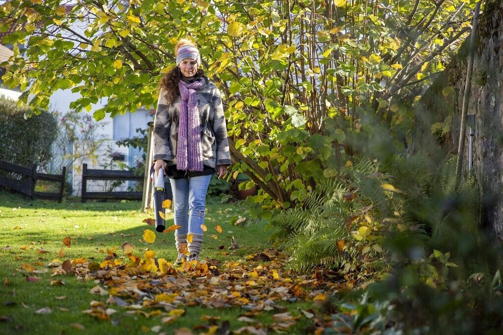 Ikra Ikra 74002700-AZ - back view