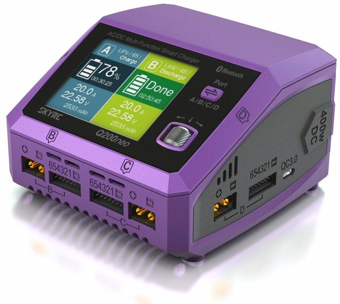 SkyRC SK-100197-01