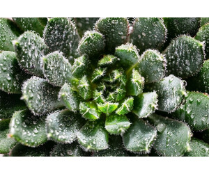 Tamron 90mm f2.8 DI III Macro VXD Black Friday 2025 | Comparez les