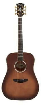 D'Angelico Excel Lexington autumn burst