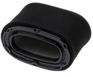 vhbw 2x filter replacement for Honda 17218ZF5V00, 17218-ZF5-V00, 17211ZF5V01, 17211-ZF5-V01