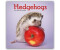 Stürtz Verlag Hedgehogs - Igel 2025 Wand-Kalender ab € 12,99 