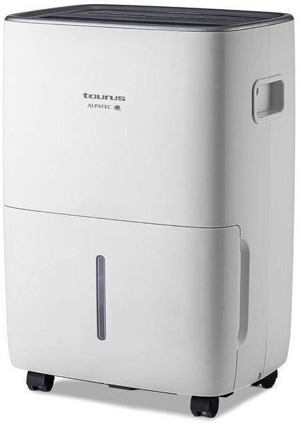 Taurus Pleasant Water Pump