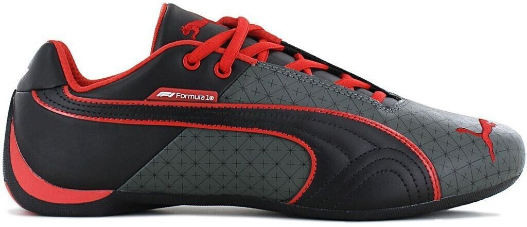 Puma F1 Future Cat grey 308280-01