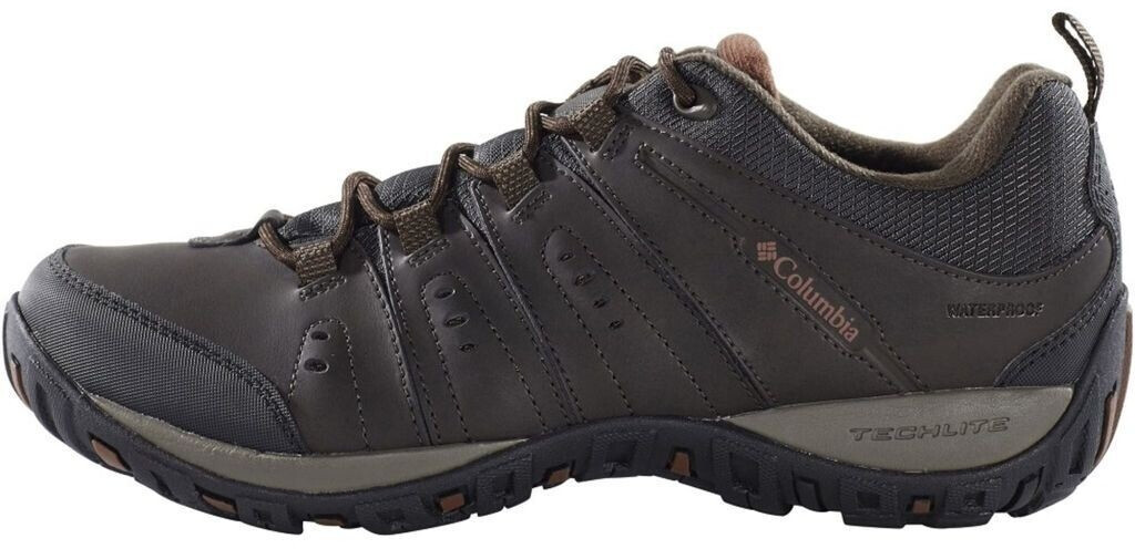 Columbia Woodburn II WP (1553001-232) brown