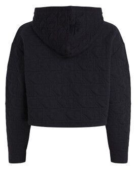 Calvin Klein Hoodie (000QS7267E-UB1)