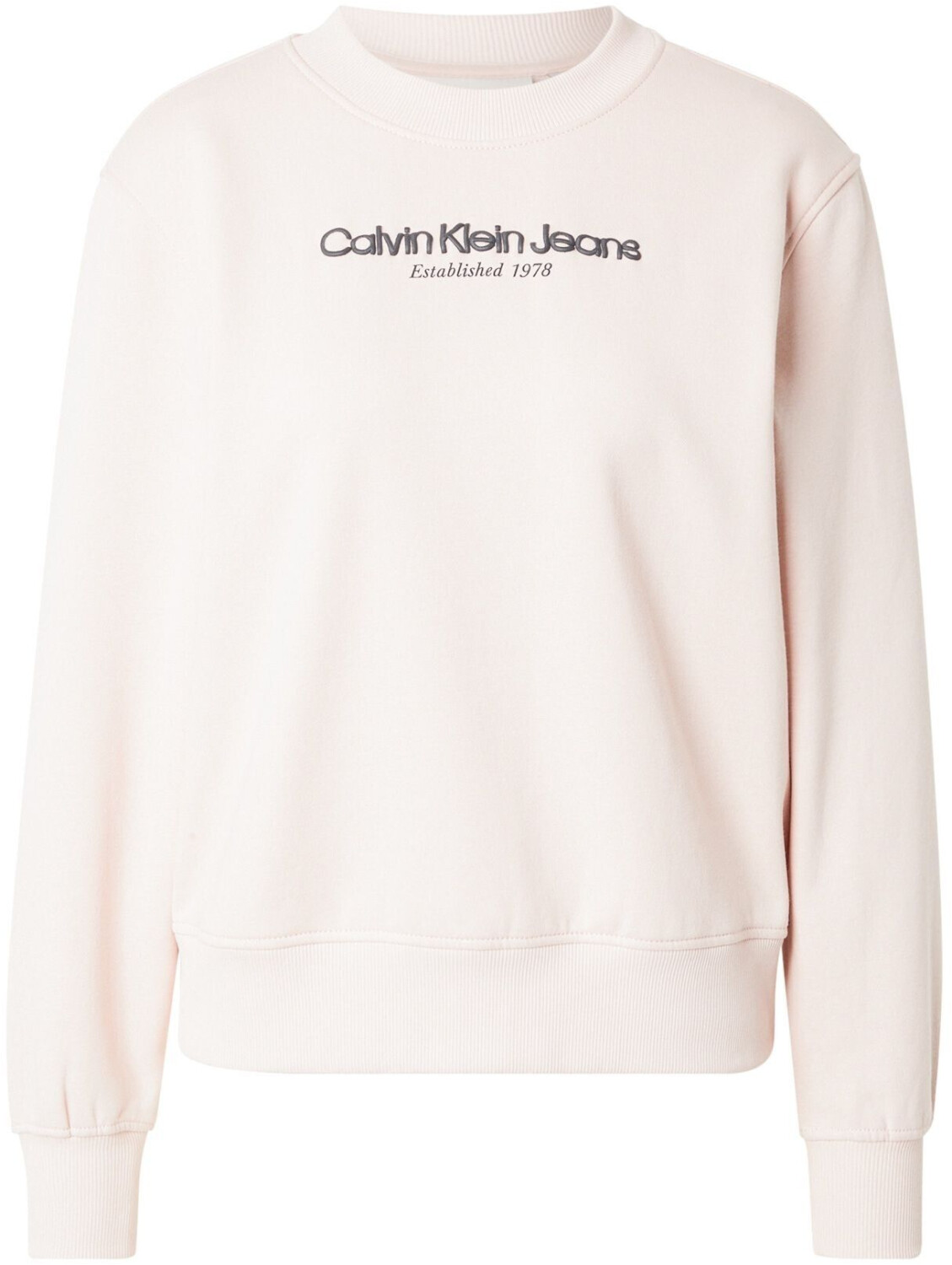 Calvin Klein Jeans Institutional Graphic Reg Cn Sweatshirt (J20J224913-TER)