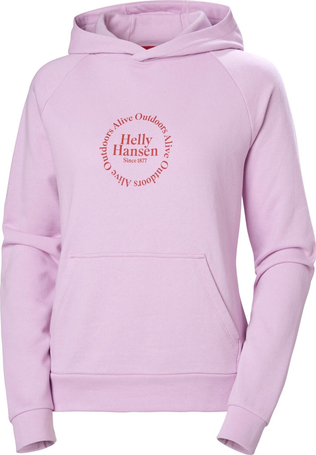 Helly Hansen Core Graphic Hoodie (54239_052)
