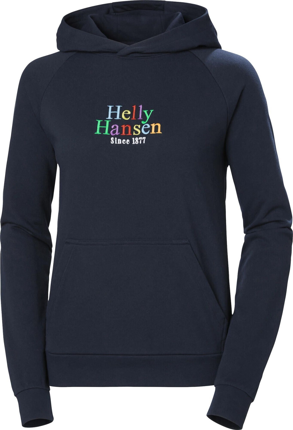 Helly Hansen Core Graphic Hoodie (54239_597)